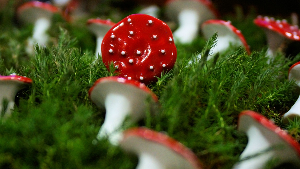O Fotomagazin / Leondinger Nikolausmarkt 2014
